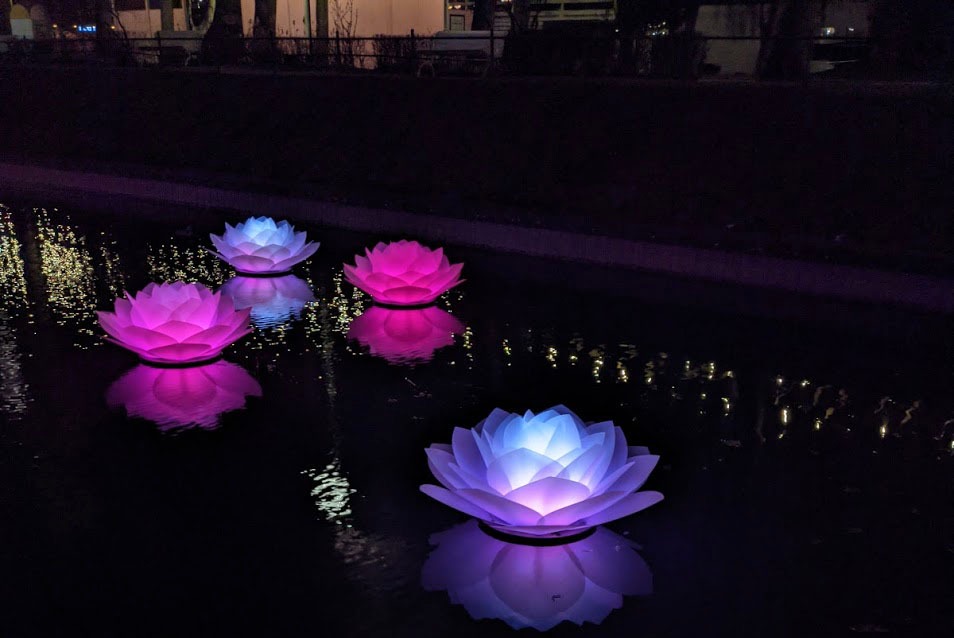 Näckrosor flytande ljusinstallation i Folkets Park Malmö