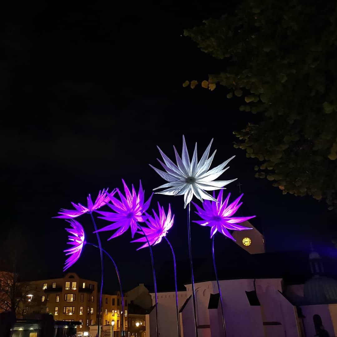 Stora lysande blominstallationer på ljusfestival
